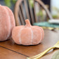 Orange Terracotta Pumpkin