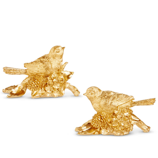Bird on Pincone