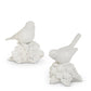 White Birds on Hydrangea