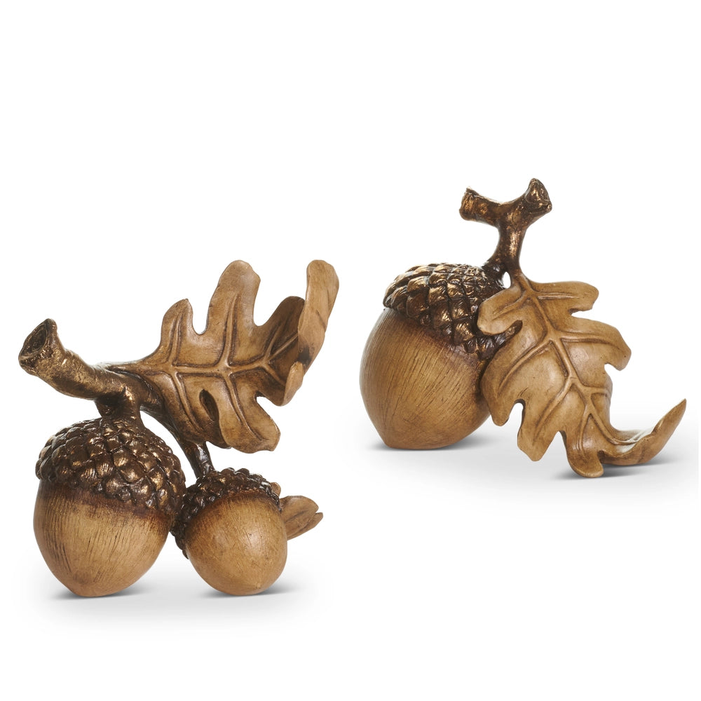 Acorn Bunch
