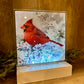 LIGHT UP CARDINAL