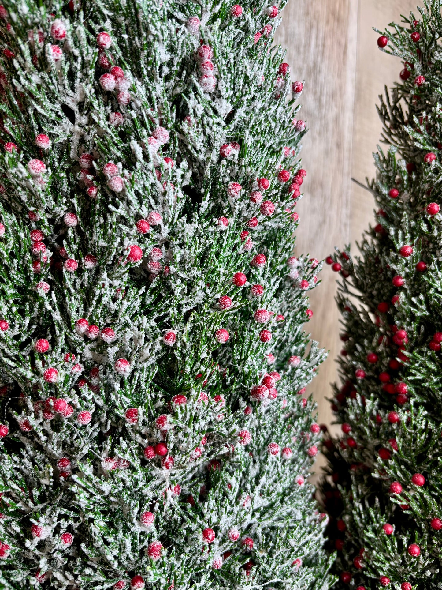 Frosted Berry Tree S/2