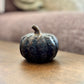 Black Short Pumpkin