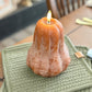 Gourd/Pumpkin Candles