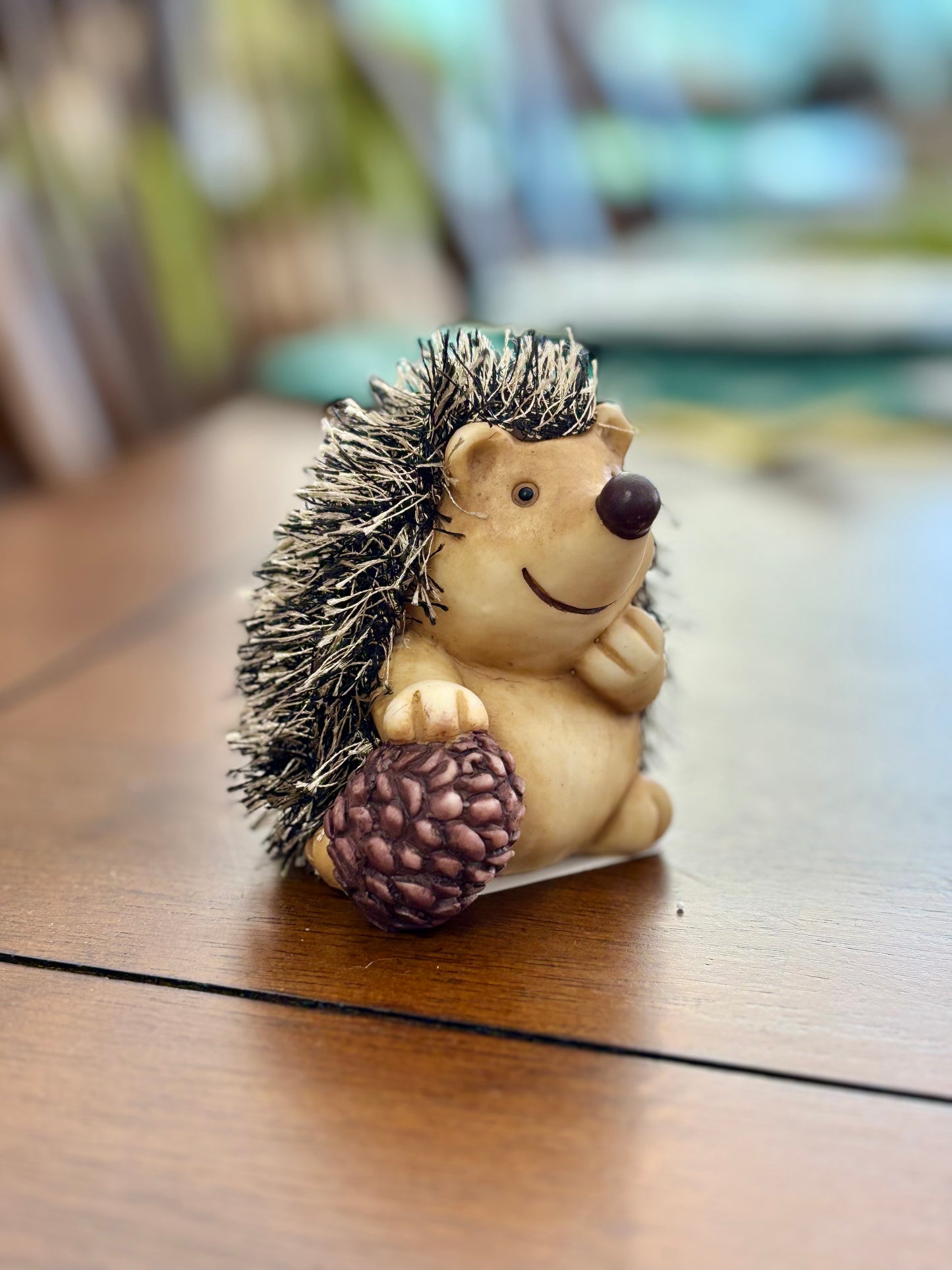Hedgehog w/ Pinecone