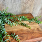 WOOD TABLE RISER