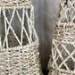 Woven Tree S/2