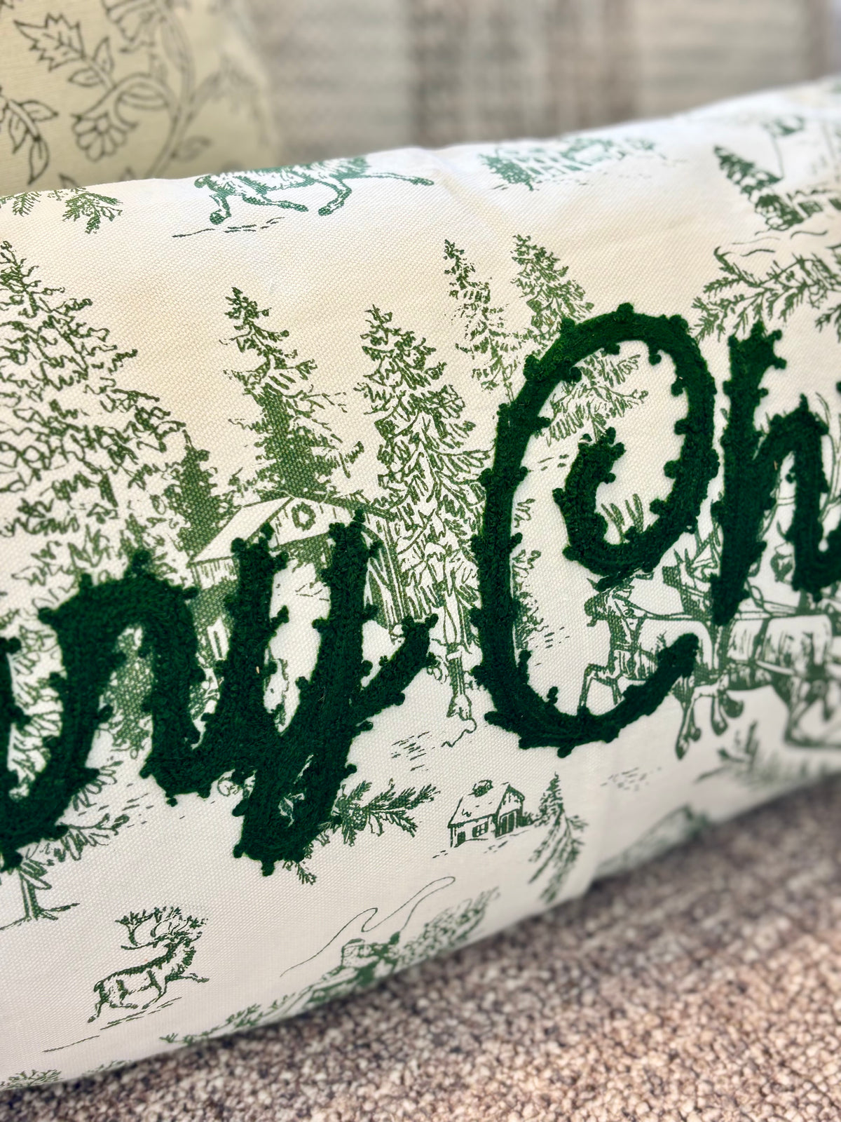 Toile Pillow
