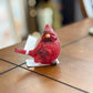 Cardinal
