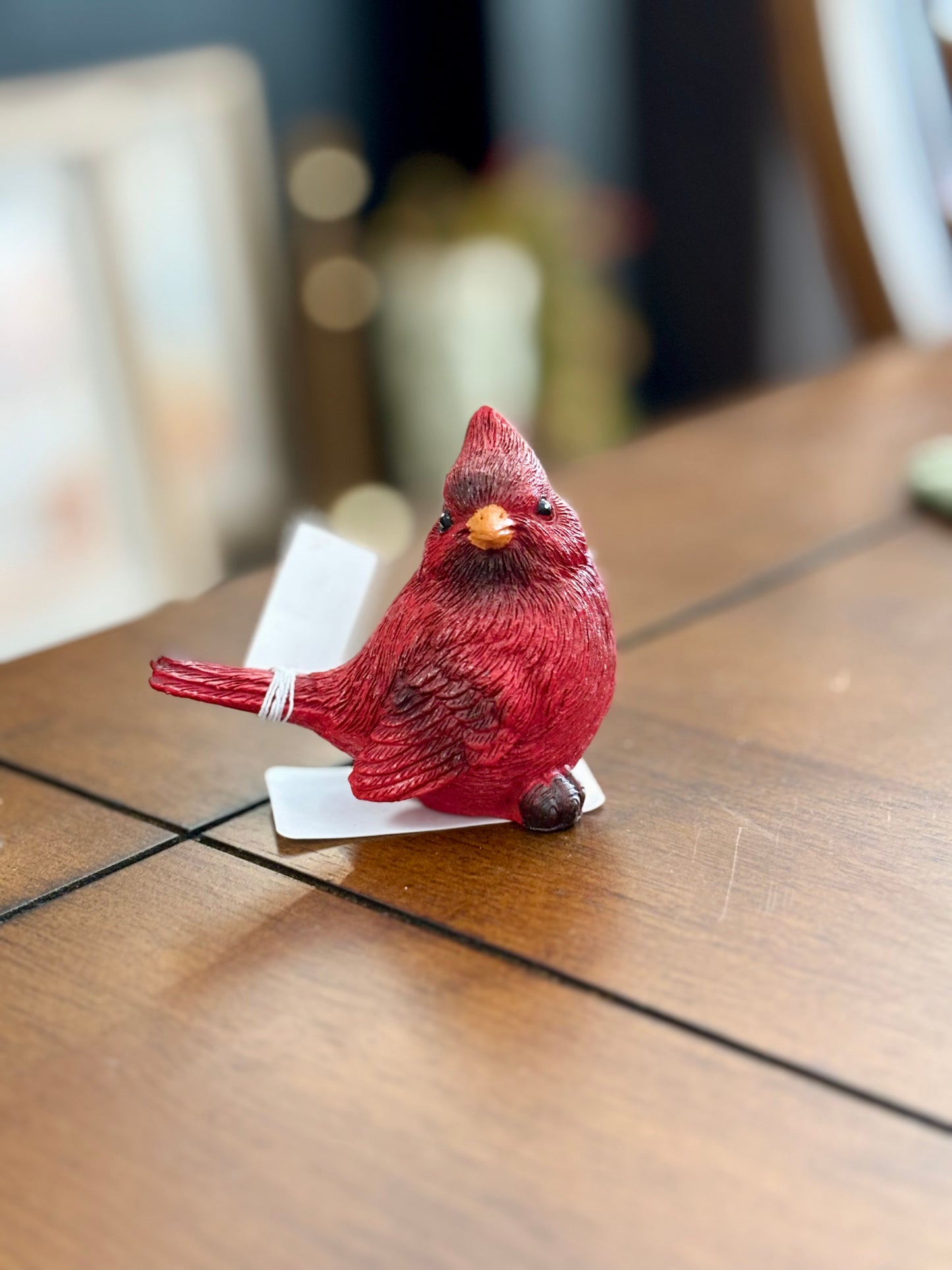 Cardinal