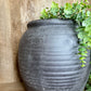 BLK LINE PLANTER