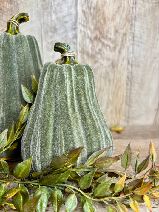 6"H VELVET GOURDS