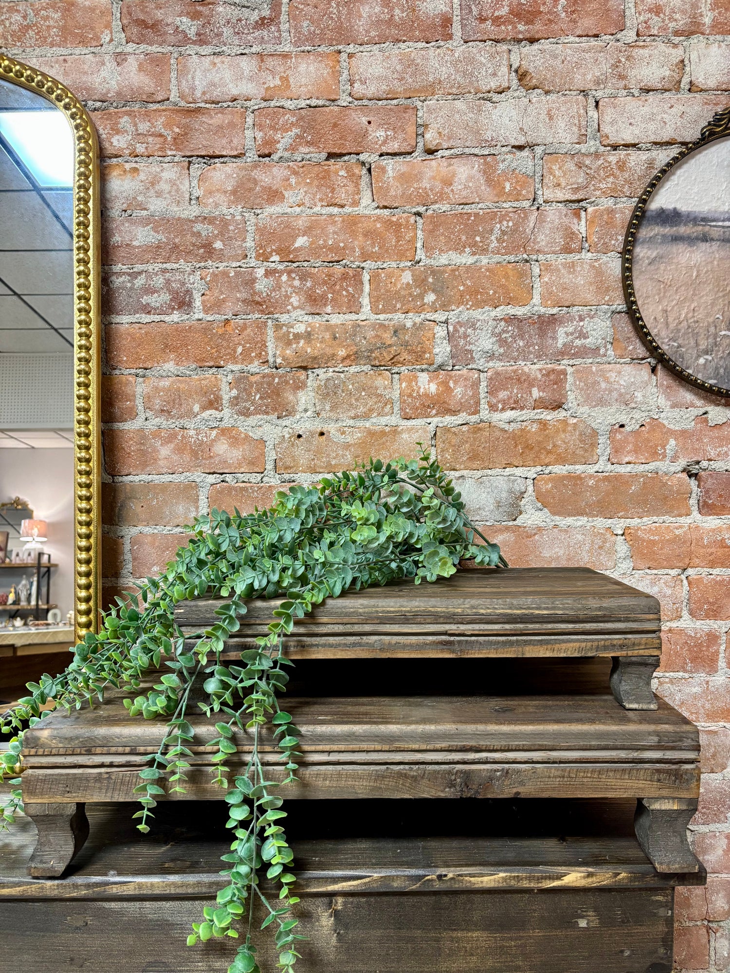 Baskets, Trays, and Risers