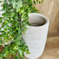 WHITE CHALK VASE