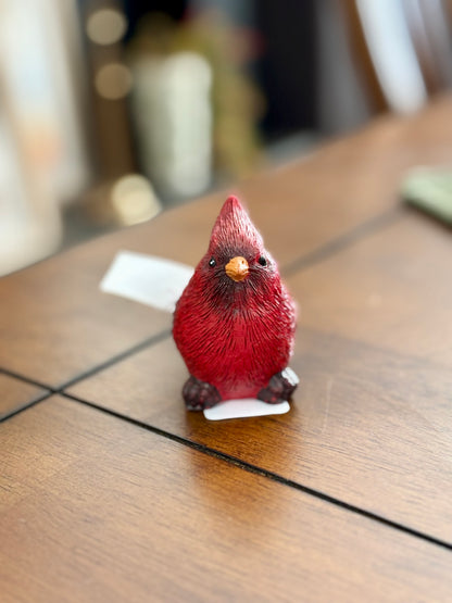 Cardinal