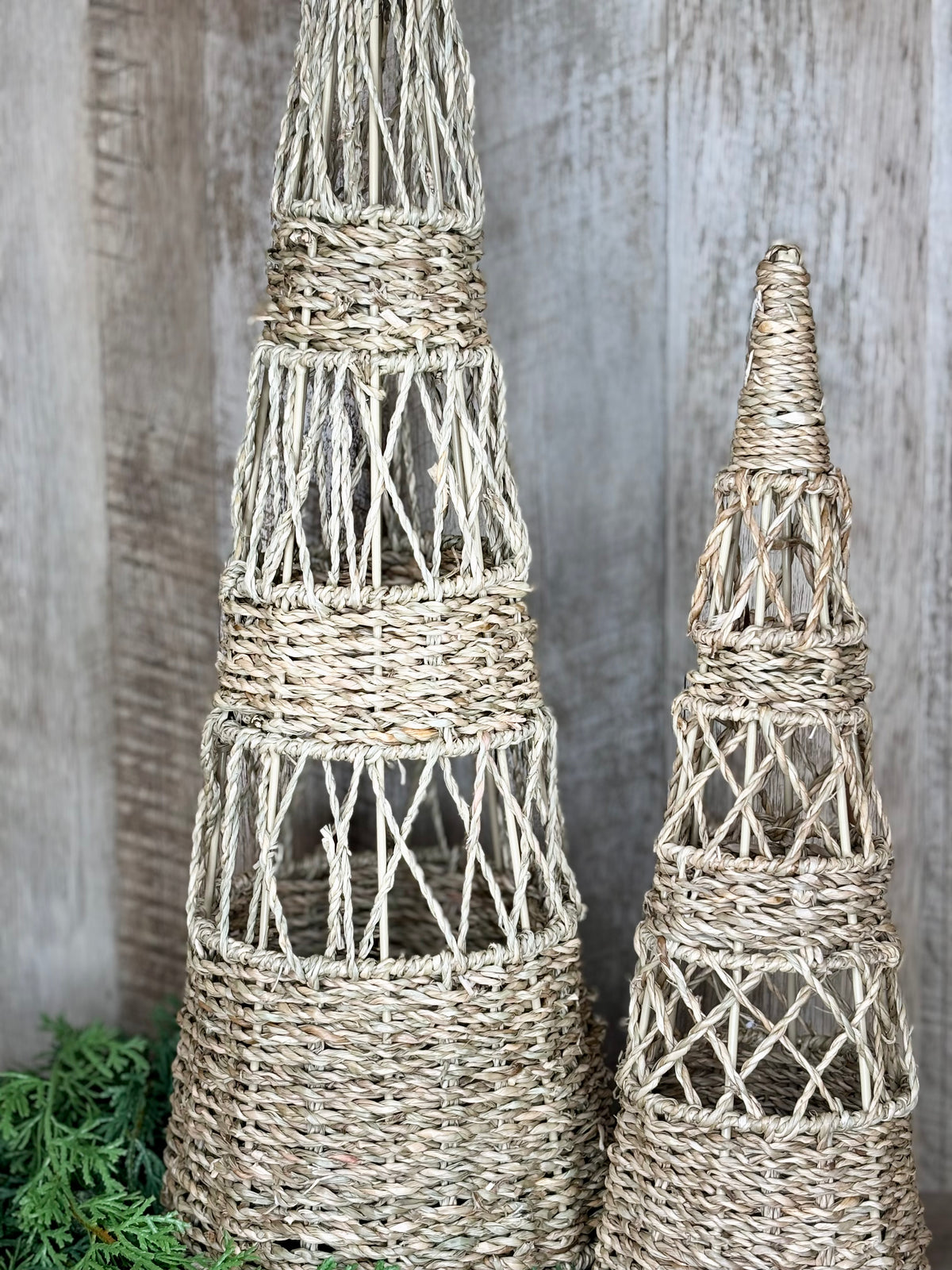 Woven Tree S/2