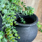 BLACK ROUND POT