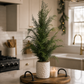 Wild Cypress Tree
