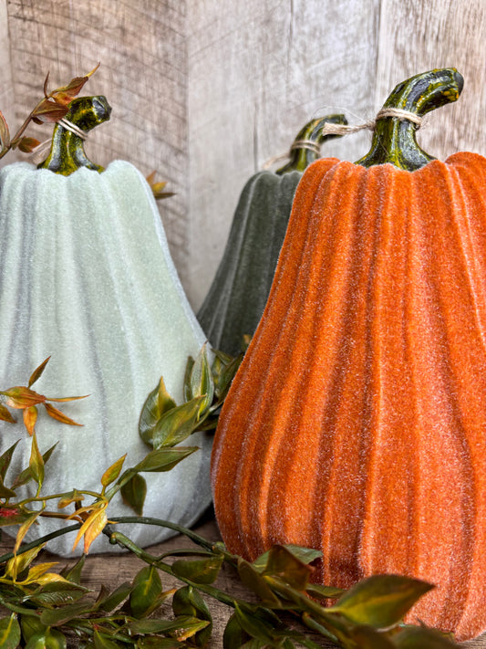 8"H VELVET GOURDS