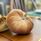 Velvet Pumpkins