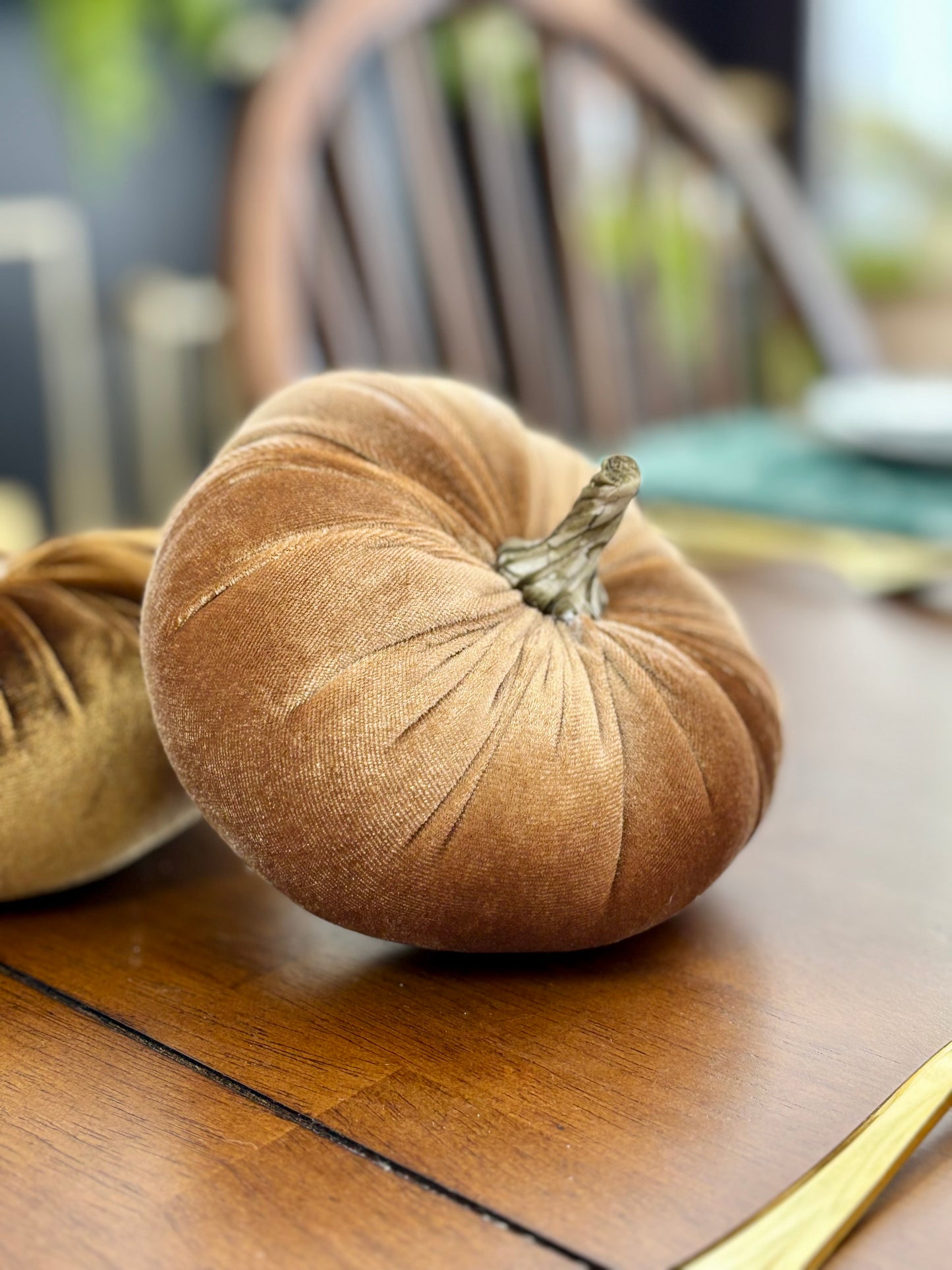 Velvet Pumpkins