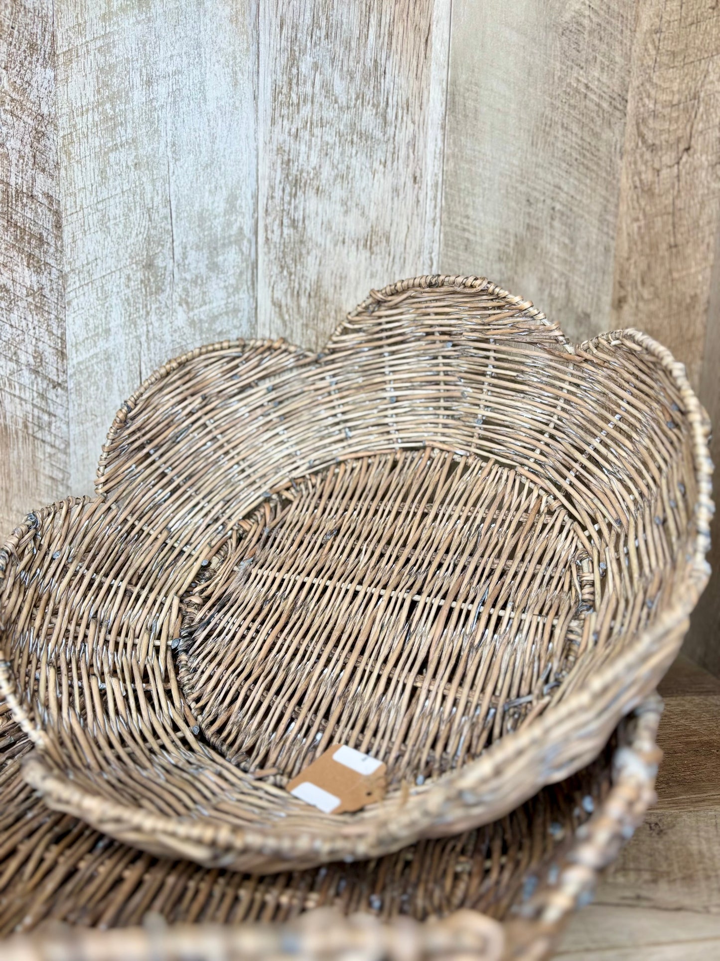 Scallop Tray