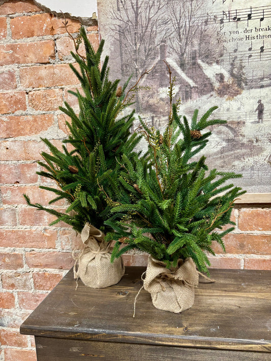 Real Touch Pine Tree w/ Burlap Base