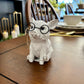 Pig with Glasses