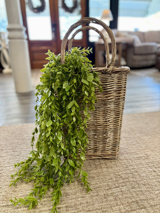 Ruscus Leaf Hanging Bush