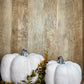 5.7" FALL CERAMIC PUMPKINS