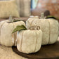 Jacquard Pumpkin