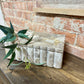 LEOPARD MARBLE SCALLOP BOX