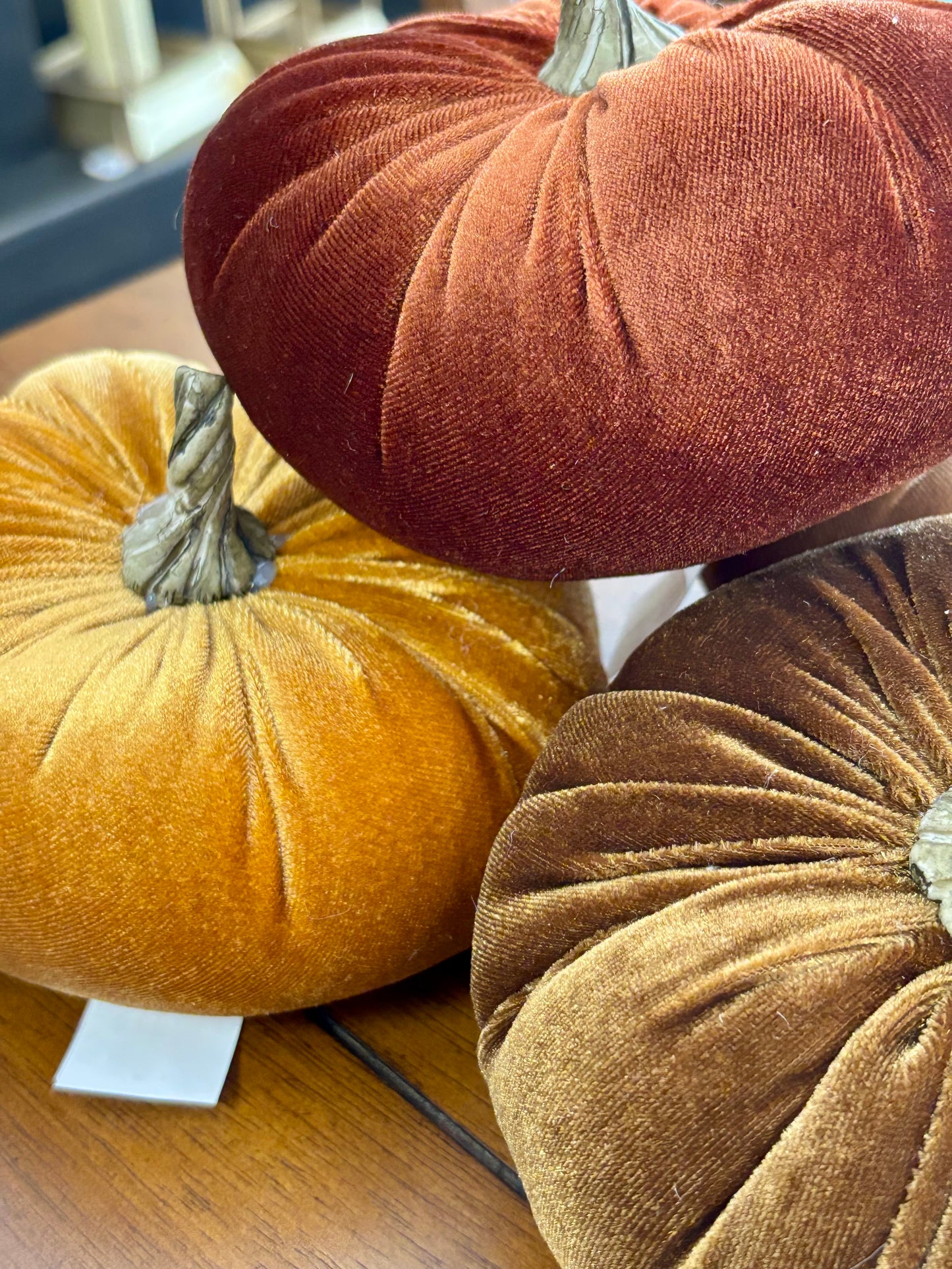 Velvet Pumpkins