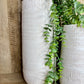 WHITE CHALK VASE