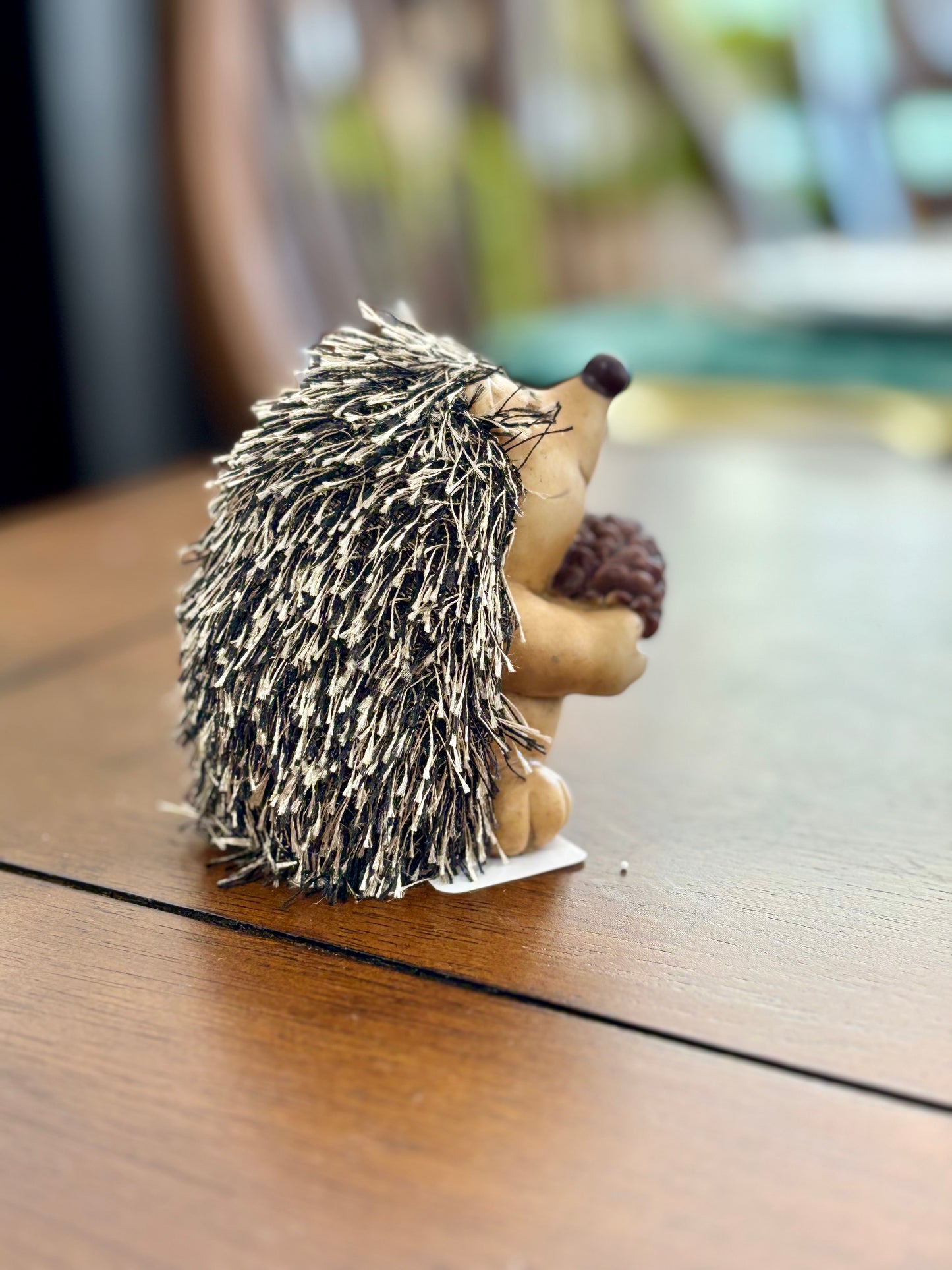 Hedgehog w/ Pinecone
