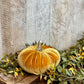 5' Velvet Pumpkins