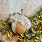 Velvet Acorn