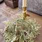 Ficus Candle Wreath