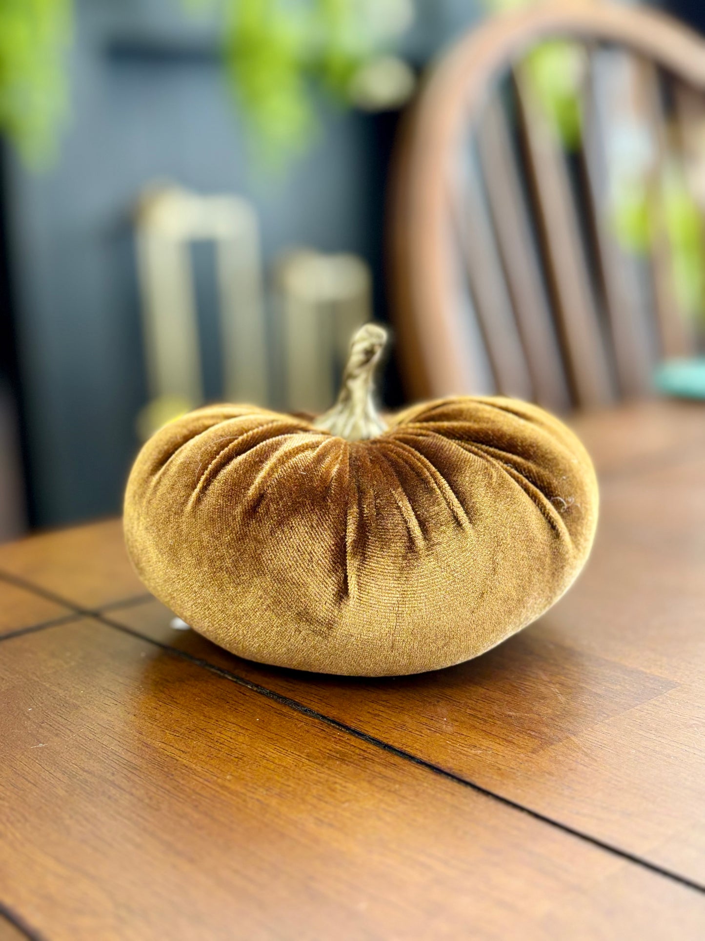 Velvet Pumpkins