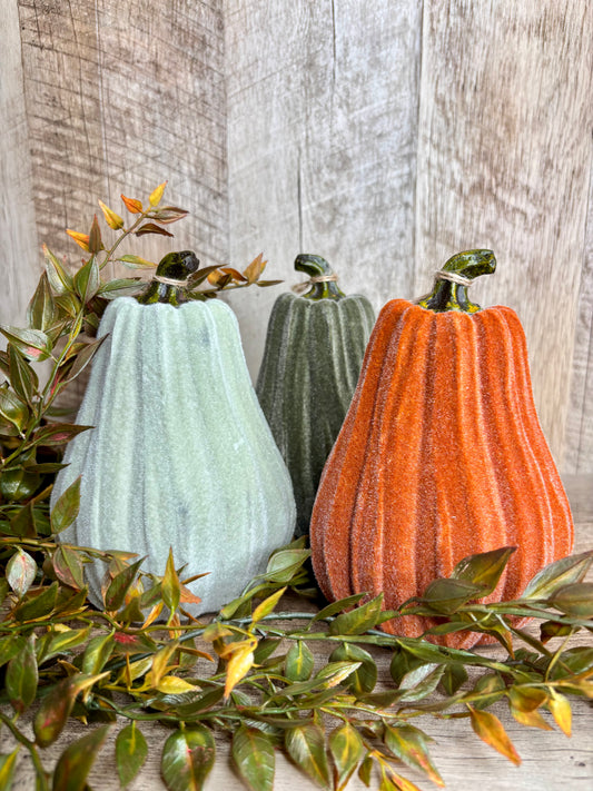6"H VELVET GOURDS