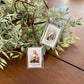 Scapular Brown Cord