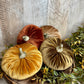5' Velvet Pumpkins
