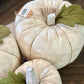 Jacquard Pumpkin