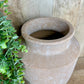 ANTIQUE WASH TERRA COTTA VASE