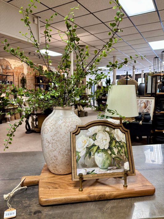 Muehlenbeckia Wire Spray