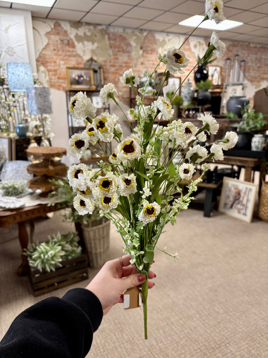 White Paper Daisy Bush
