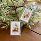 Scapular Brown Cord