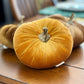 Velvet Pumpkins