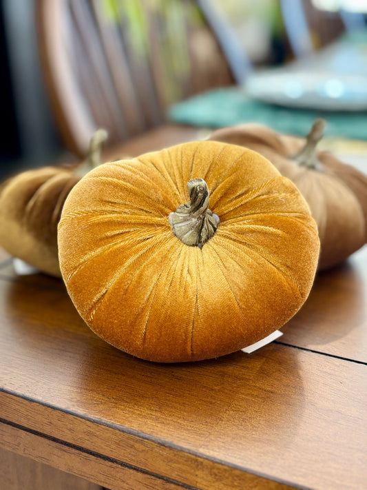 Velvet Pumpkins