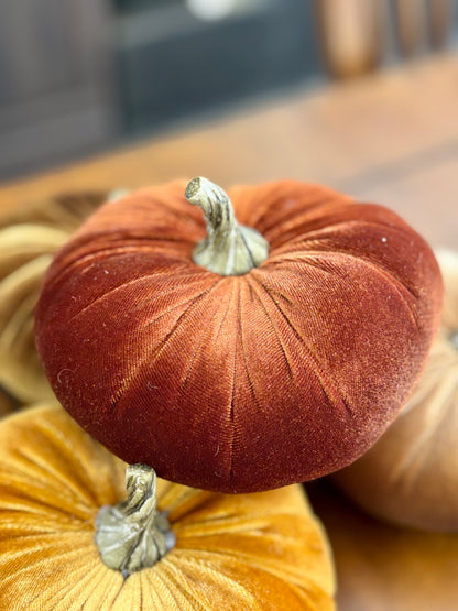 Velvet Pumpkins